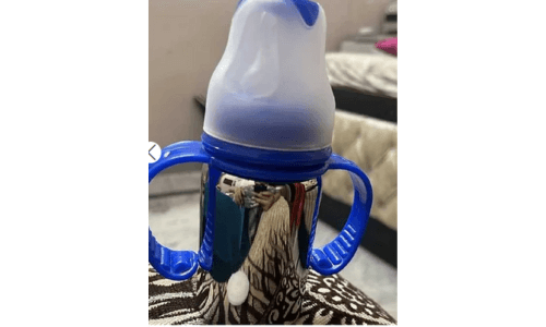 our image of Babyhug Stainless Steel Feeding Bottle