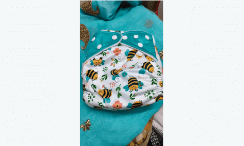 our image of Blushbaby Reusable Cloth Diapers