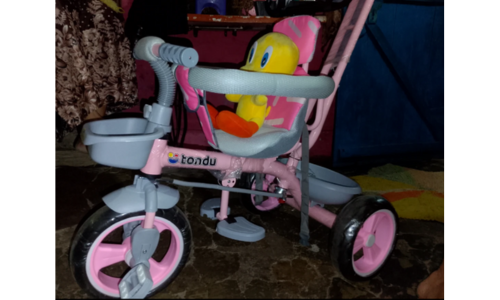 our image of TONDU Kids tricycle with canopy & parental control