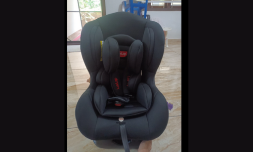 our image of LuvLap Joy Convertible Car Seat