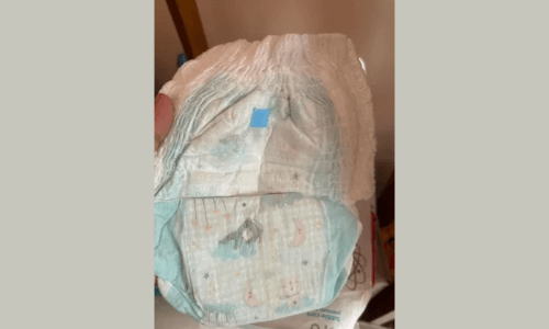 our image of Babyhug Pro Bubble Care Premium Pant Style Diaper