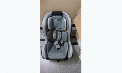 our image of R for Rabbit Convertible Baby Car Seat